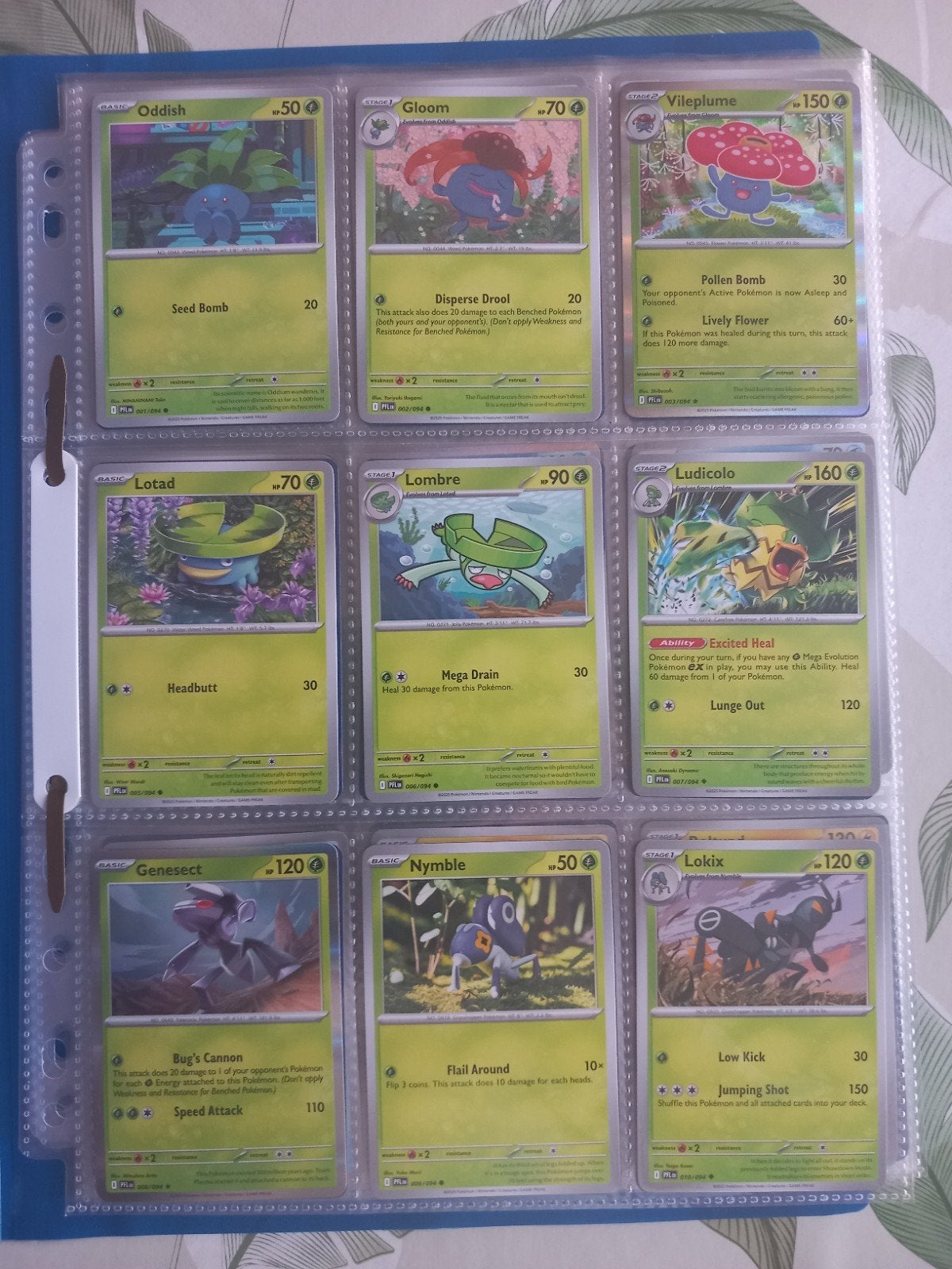 Phantasmal Flames base set tekoop., Ophalen of Verzenden, Nieuw, Meerdere kaarten, Foil