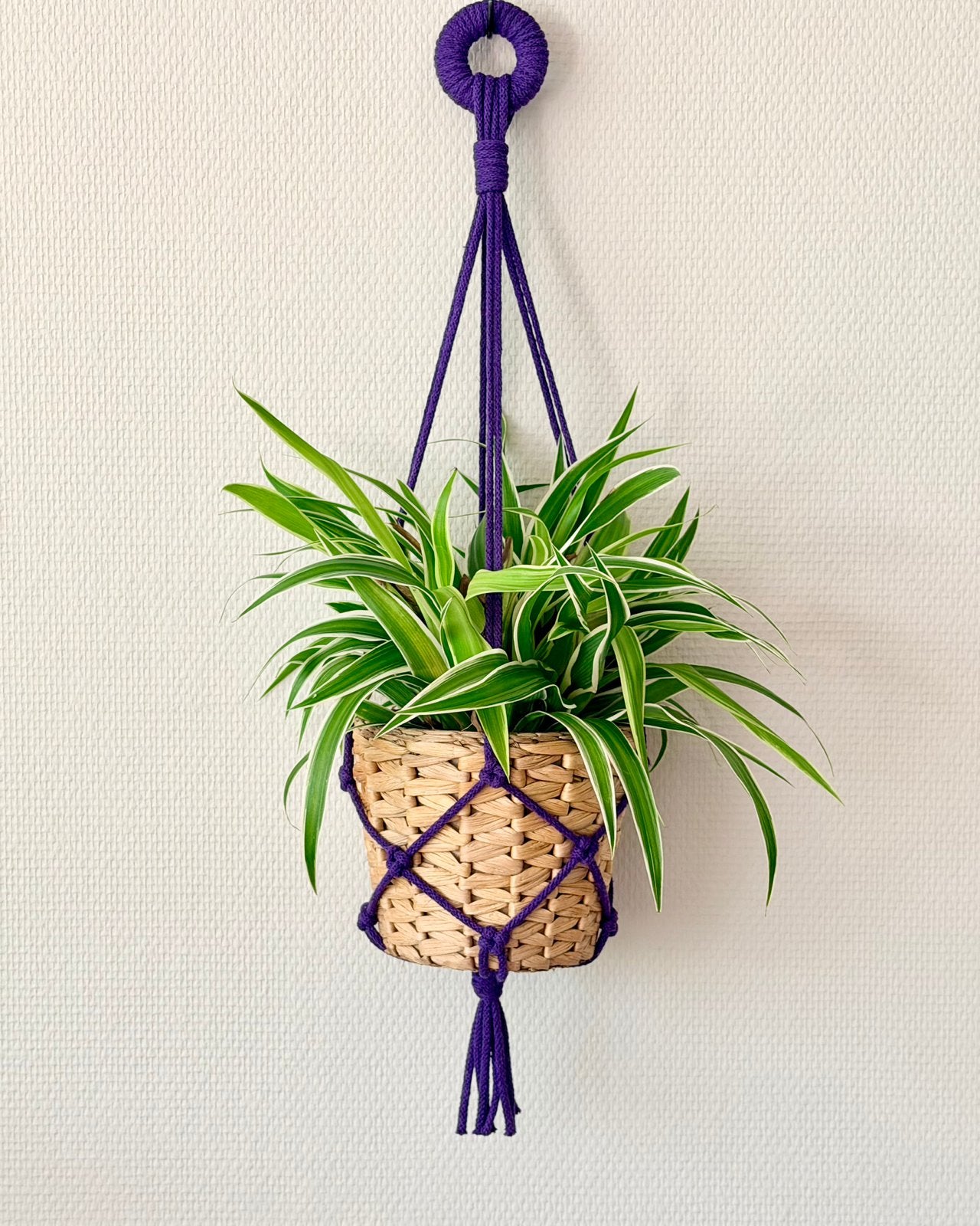 Paarse plantenhanger - macramé/handgemaakt - 66 cm, Nieuw, Ophalen of Verzenden, Modern, Paars