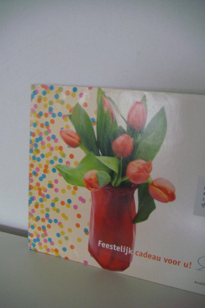 Opvouwbare vaas, Ophalen, Kunststof, Nieuw, Minder dan 50 cm