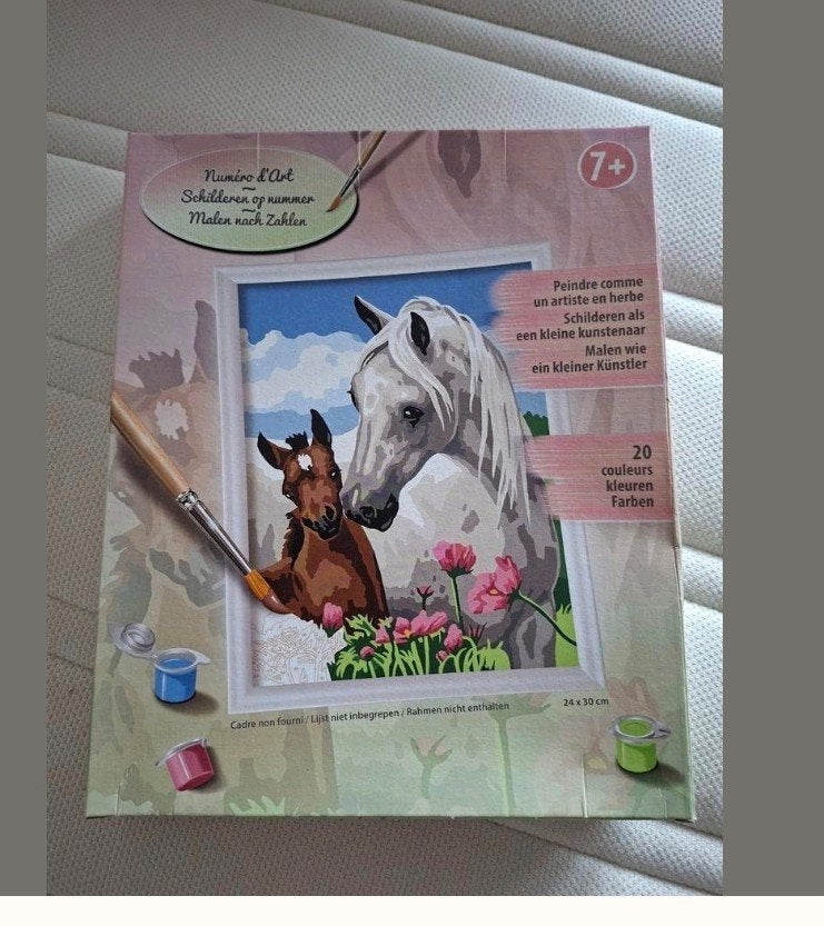 voor de paard liefhebber: schilderen op nummer NIEUW, Eén persoon, Overige typen