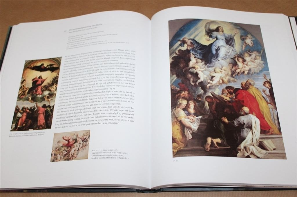 Rubens. Een genie aan het werk., Ophalen of Verzenden, Zo goed als nieuw