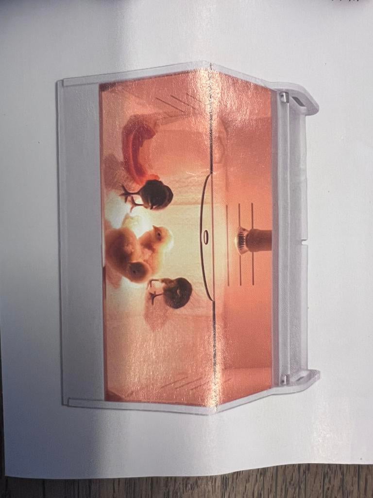 Intelligente broedmachine/ warmhoutbox/ kweekbak kuikens, Dieren en Toebehoren, Geslacht onbekend, Kip
