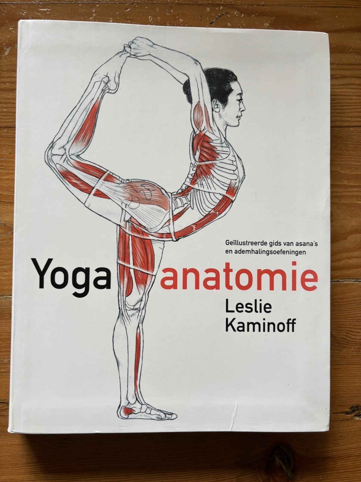 Amy Matthews - Yoga anatomie, Boeken, Gelezen, Meditatie of Yoga, Ophalen of Verzenden, Amy Matthews; Leslie Kaminoff