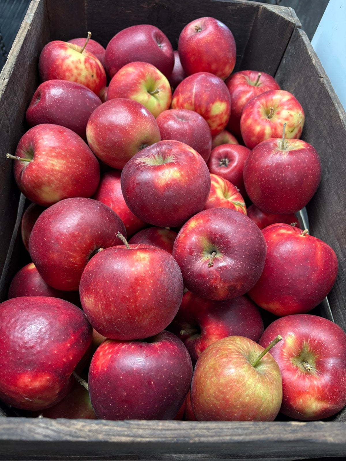 Appels en peren, Ophalen