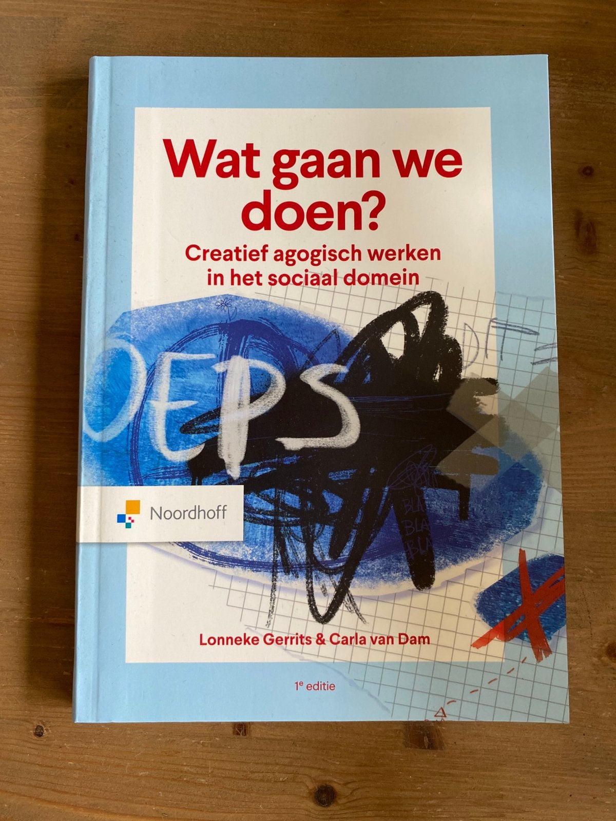 Lonneke Gerrits - Wat gaan we doen?, Boeken, Sociale wetenschap, Lonneke Gerrits; Carla van Dam, Ophalen of Verzenden, Zo goed als nieuw