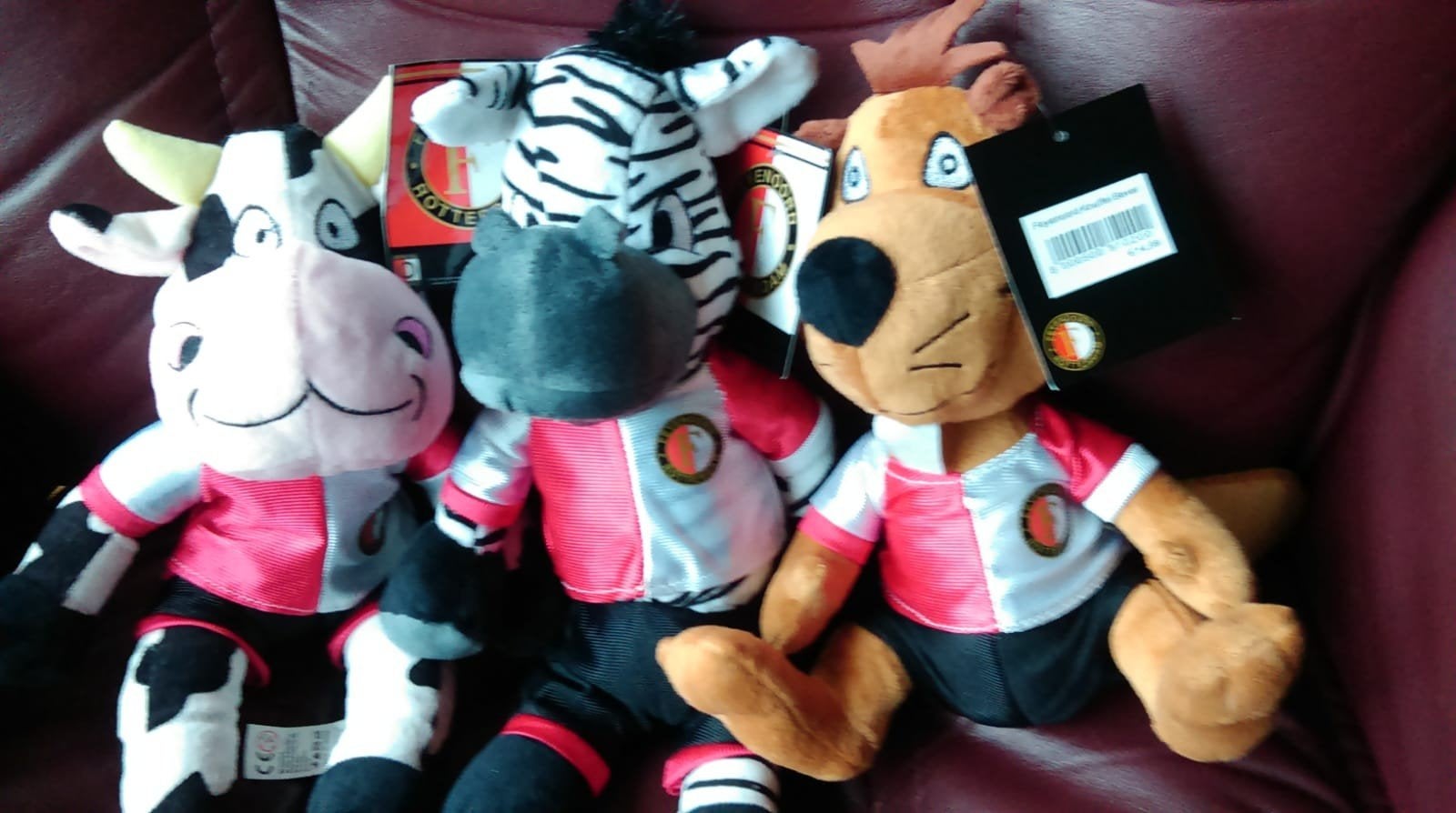 Feyenoord knuffel, nieuw, Verzenden, Nieuw, Feyenoord, Beeldje of Poppetje