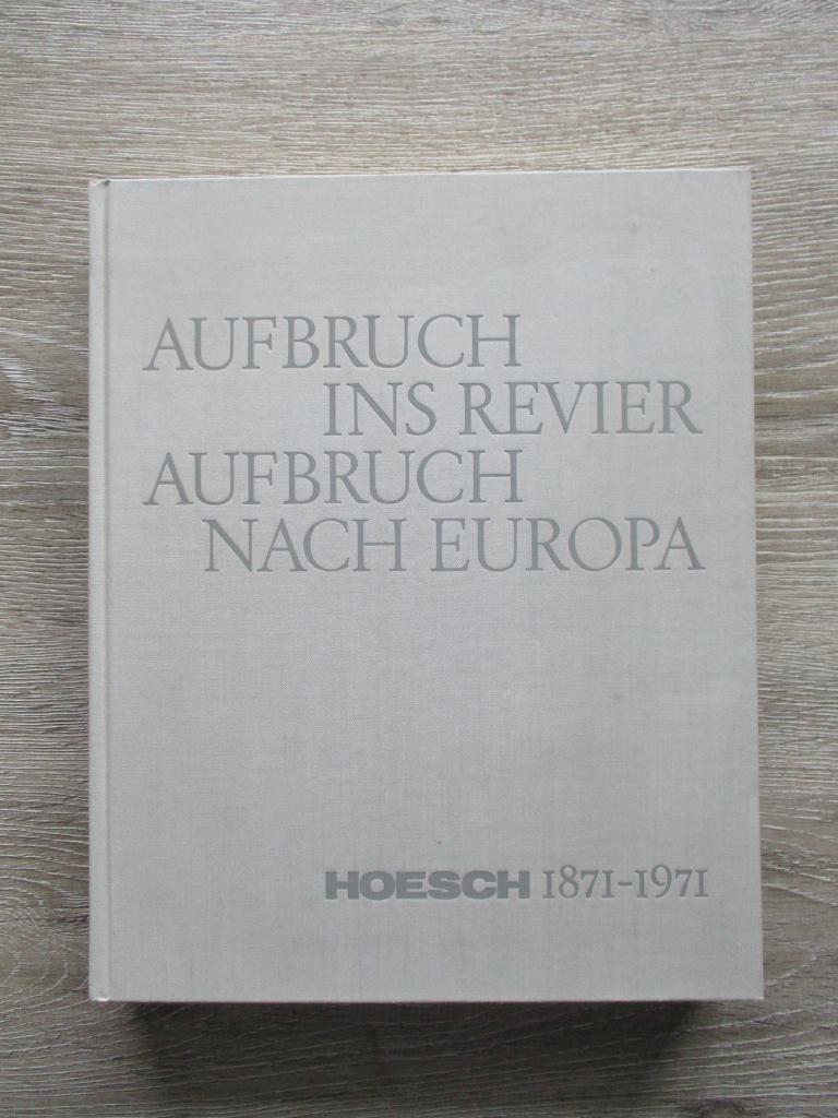 Aufbruch ins revier aufbruch nach europa Hoesch 1871-1971, Ophalen of Verzenden, Gelezen, Management