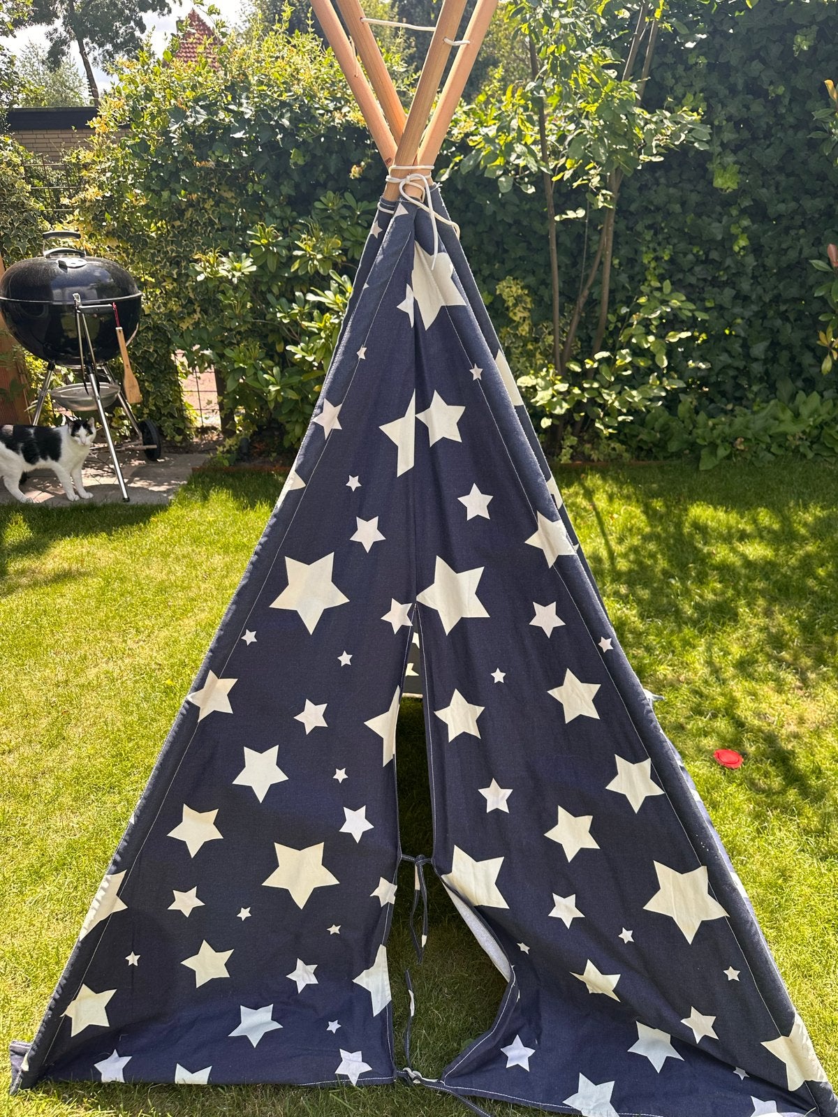 Leuke Tipitent met sterrenpatroon voor kinderen, Kinderen en Baby's, Speelgoed | Speeltenten, Ophalen, Gebruikt