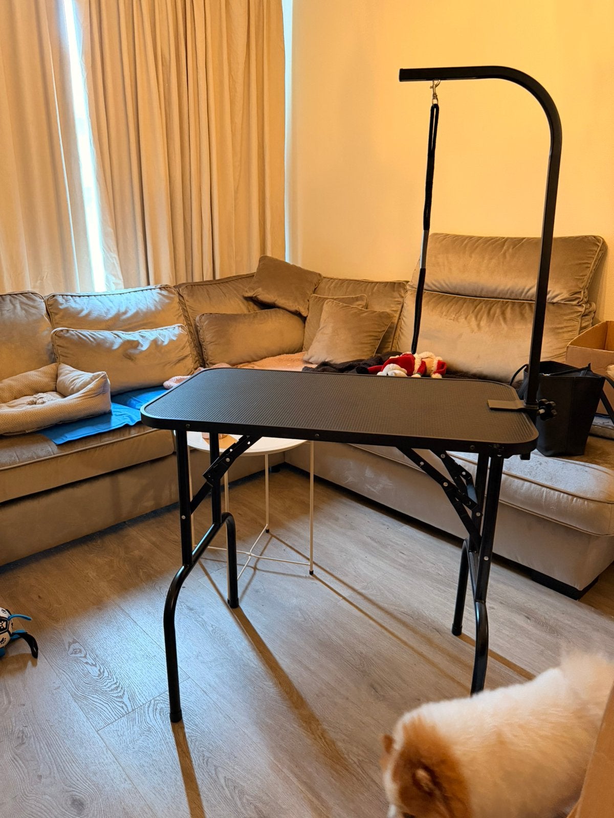 Honden trimtafel, Dieren en Toebehoren, Ophalen, Zo goed als nieuw