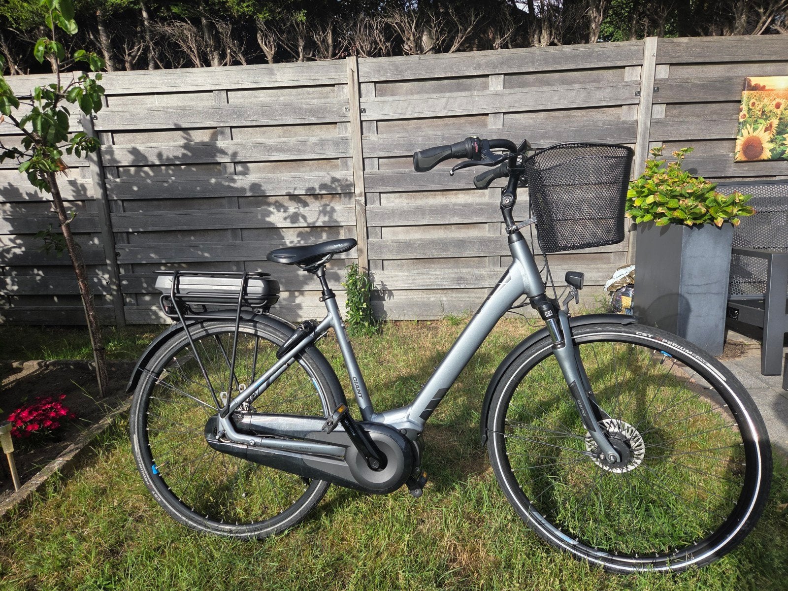 Giant elektrische fiets e-bike Entour antraciet met mand, Ophalen