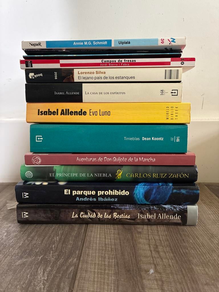 Spaanstalige Boeken, Ophalen of Verzenden, Gelezen, Europa overig