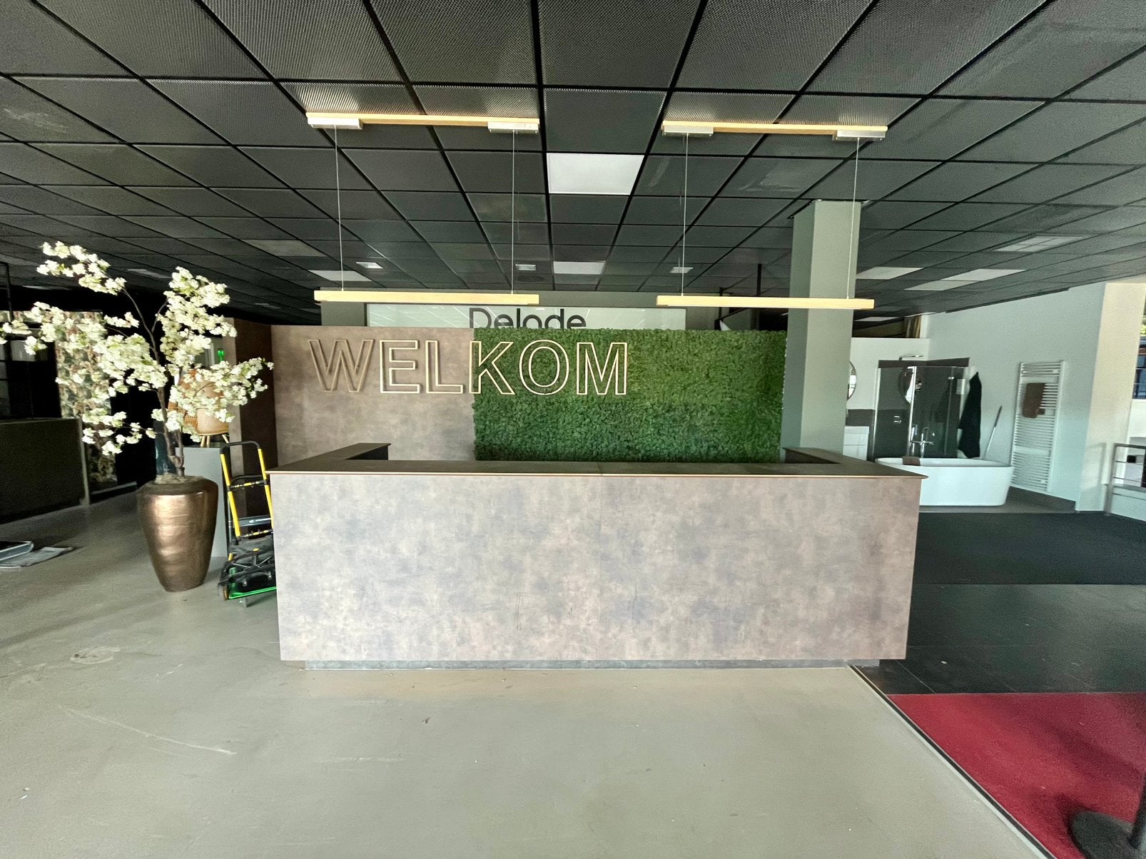 Te Koop: Complete Welkomstbalie met Achterwand – €350, Ophalen, Zo goed als nieuw