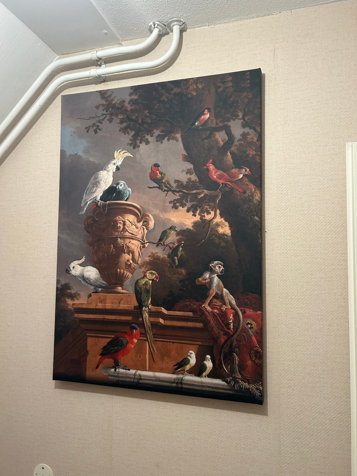 Schilderij met exotische vogels en aap, Ophalen, Doek, Dieren, Handgeschilderd