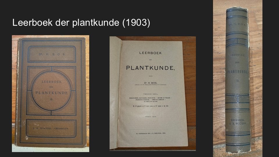 Antieke boeken over steden, plantkunde, en nog veel meer, Ophalen, Gelezen