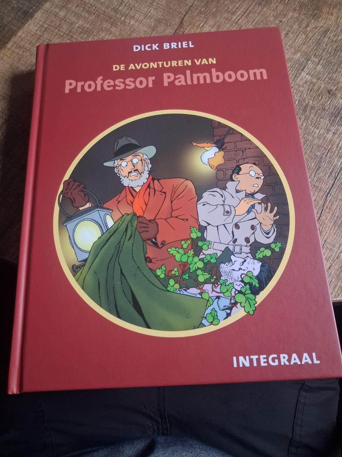 Dick Briel - De Avonturen van Professor Palmboom Integraal, Eén stripboek, Ophalen of Verzenden, Zo goed als nieuw, Dick Briel