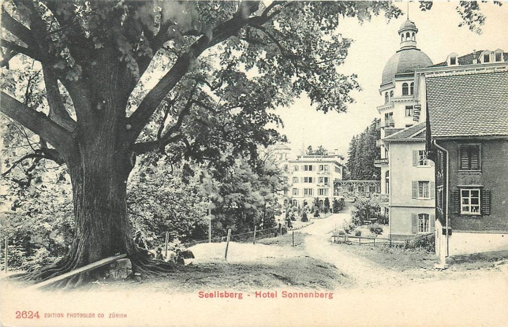 379-143-023 Seelisberg Hotel Sonnenberg, Ophalen of Verzenden, Voor 1920, Overig Europa