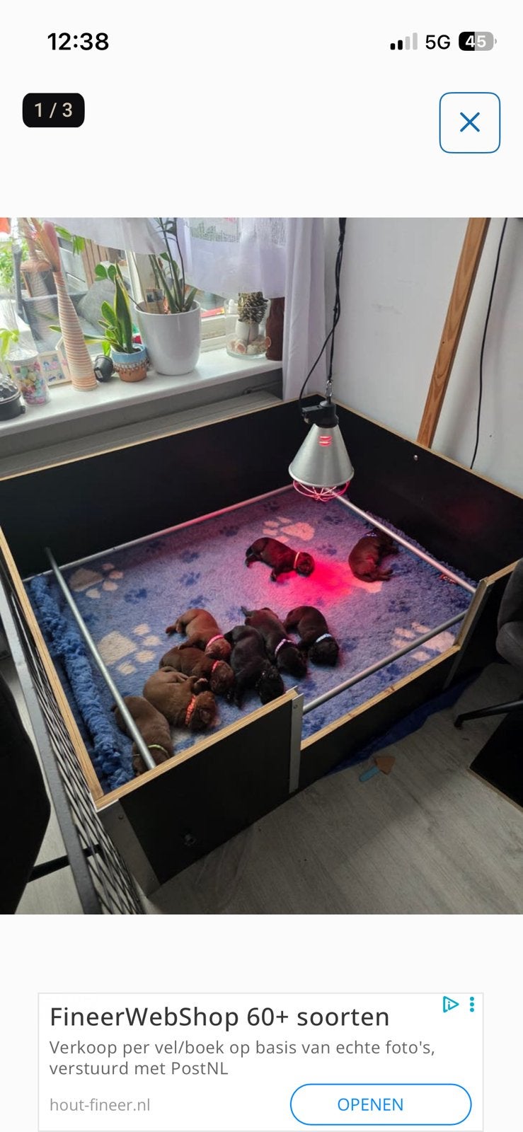 Honden werpkist, Ophalen, Zo goed als nieuw, Plant(en), Steen of Hout