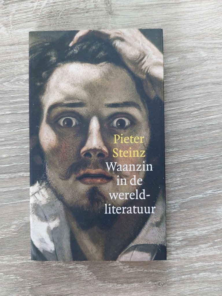 Pieter Steinz - Waanzin in de wereldliteratuur, Ophalen of Verzenden, Zo goed als nieuw