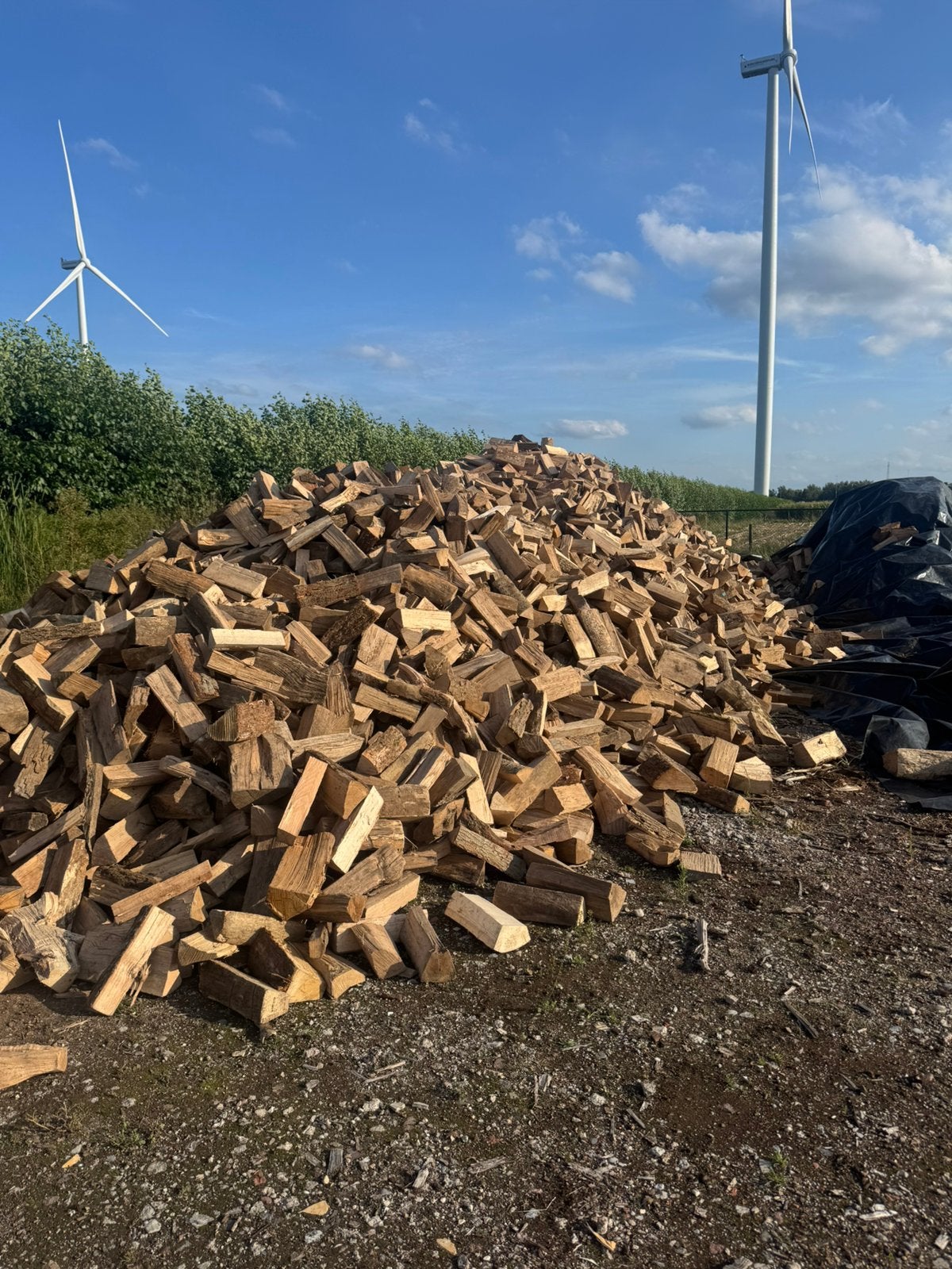 Haardhout mix van eik, es en beuk -stookklaar, Tuin en Terras, 6 m³ of meer, Ophalen of Verzenden