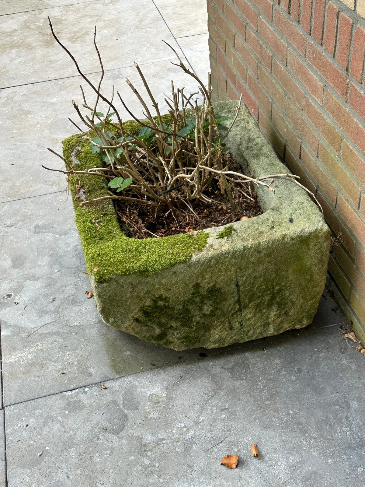 Antieke Bentheimer zandsteen trog - unieke plantenbak, Ophalen