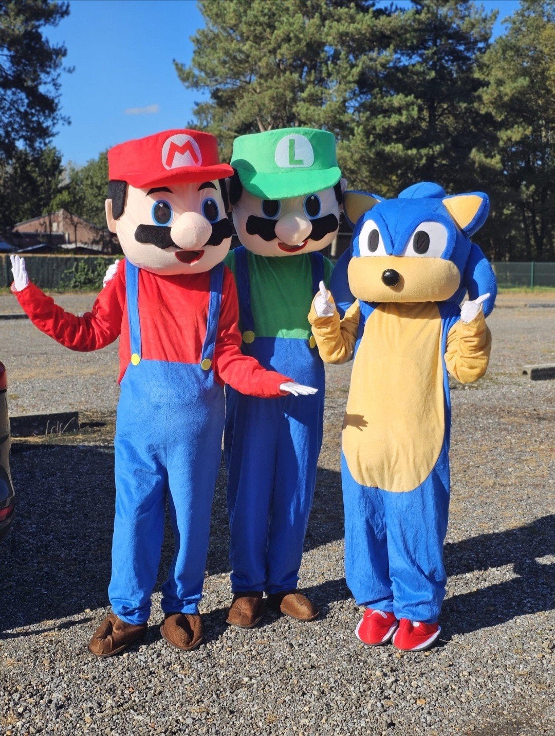 Mascotte Pakken te Huur of te Koop (o.a. Mario), Ophalen of Verzenden, Gebruikt, Kostuum, Verjaardag