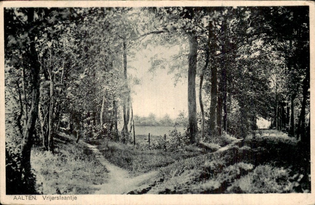 Aalten - Vrijerslaantje - Bos, Ophalen of Verzenden, 1920 tot 1940, Gelopen, Gelderland