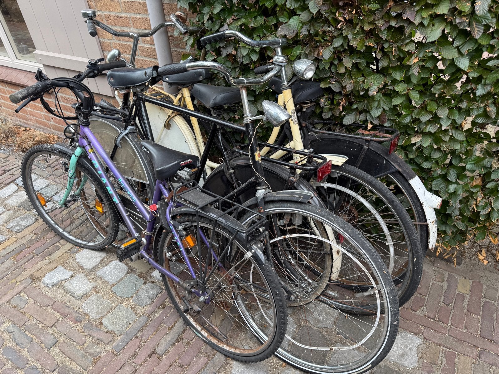 Partij van 5 gebruikte fietsen, Gebruikt, Velgrem, Versnellingen, 50 tot 53 cm