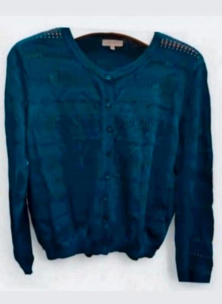 ✨️BEL&BO Donkerblauw Gehaakt Vest Maat L  BUNDELKORTING‼️✨️, BEL&BO, Blauw, Maat 42/44 (L), Ophalen of Verzenden