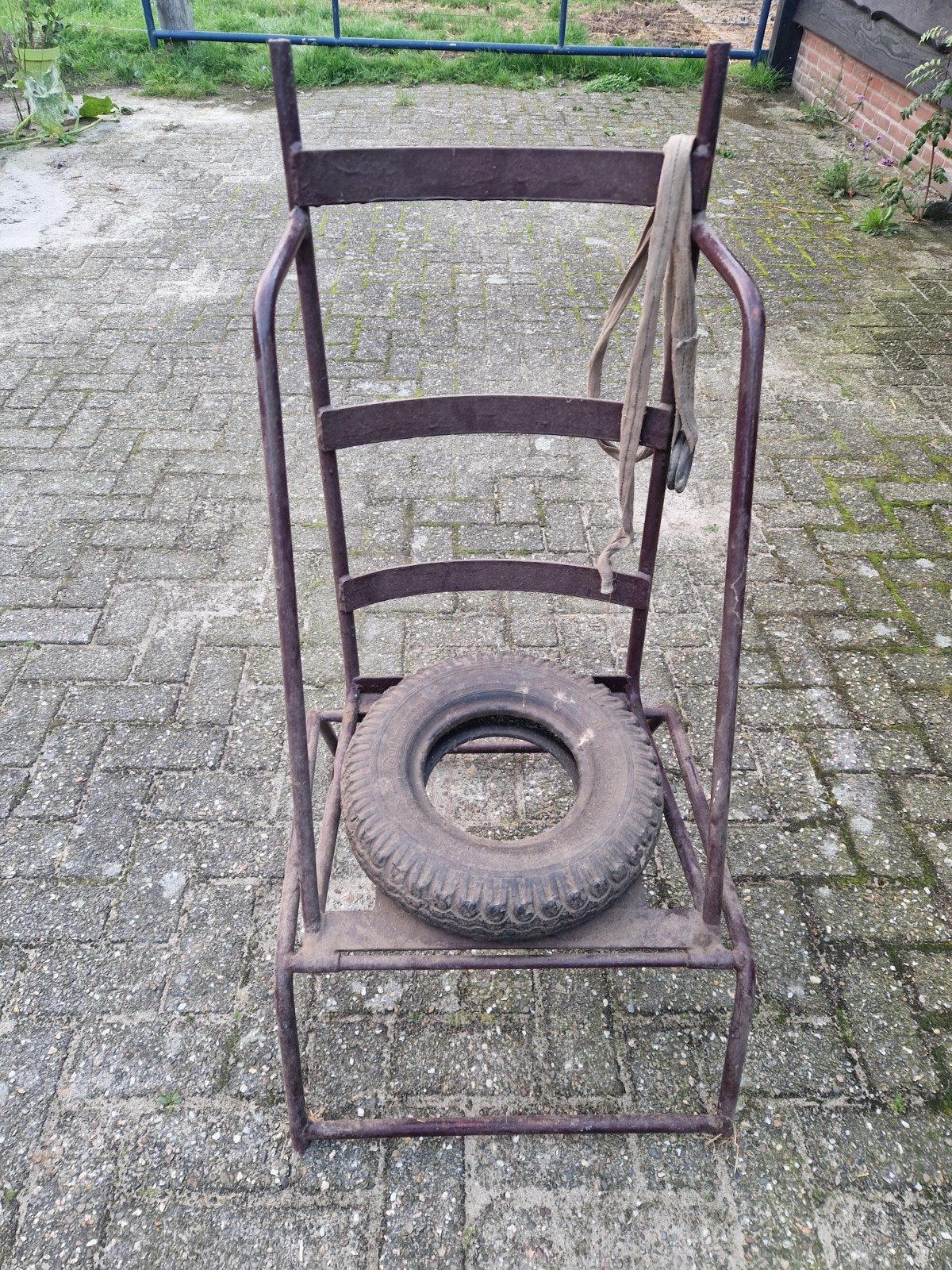 Schapenstoel te koop, Geslacht onbekend, Schaap