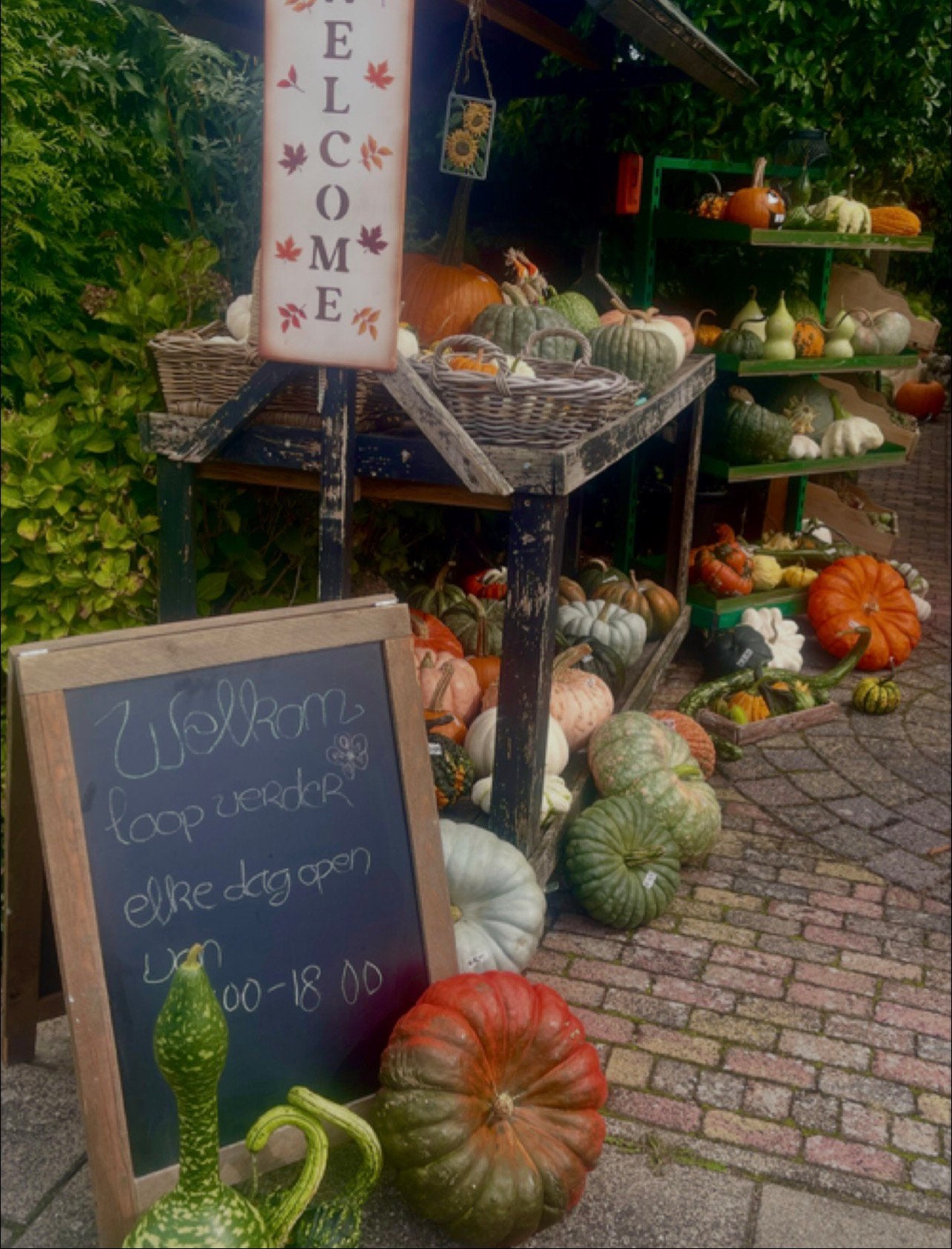 Pompoenen kraam ‘s-Heerenberg, Ophalen of Verzenden, Zo goed als nieuw, Carnaval