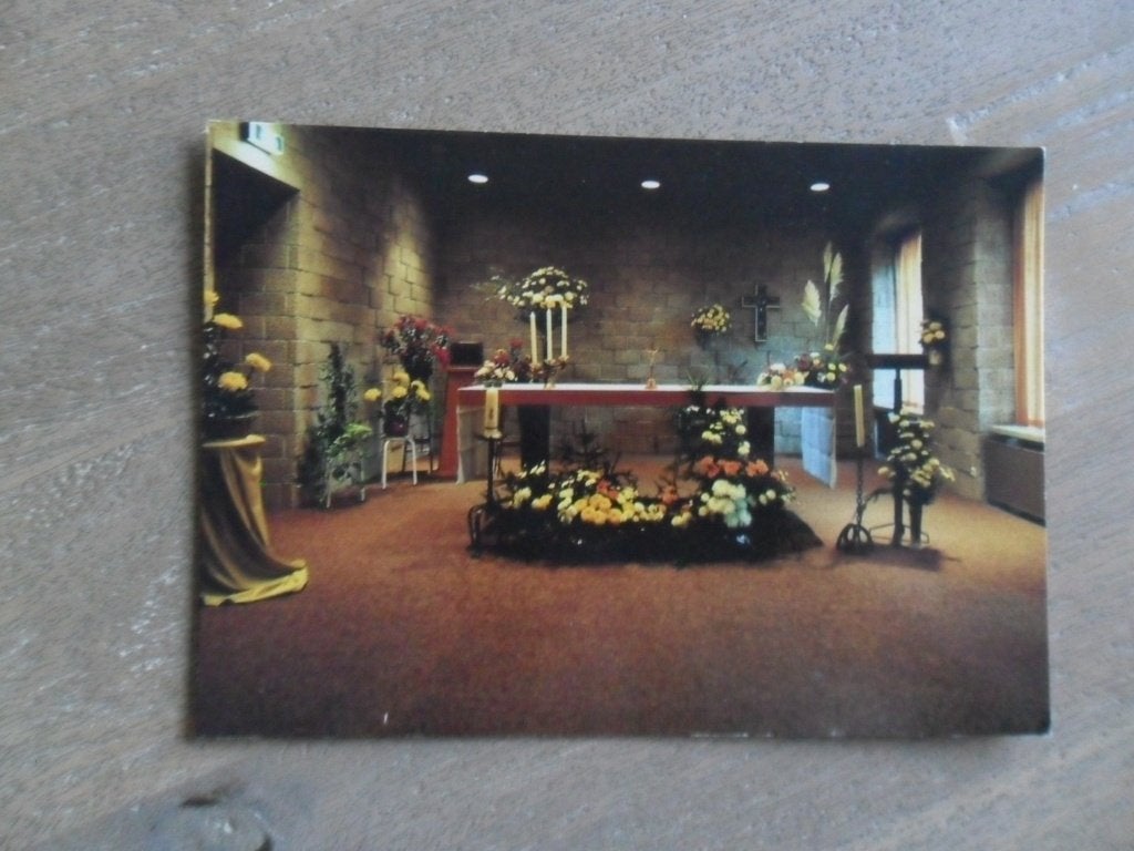 Bosschenhoofd, centrum Seppe, Verzenden, 1980 tot heden, Gelopen, Noord-Brabant