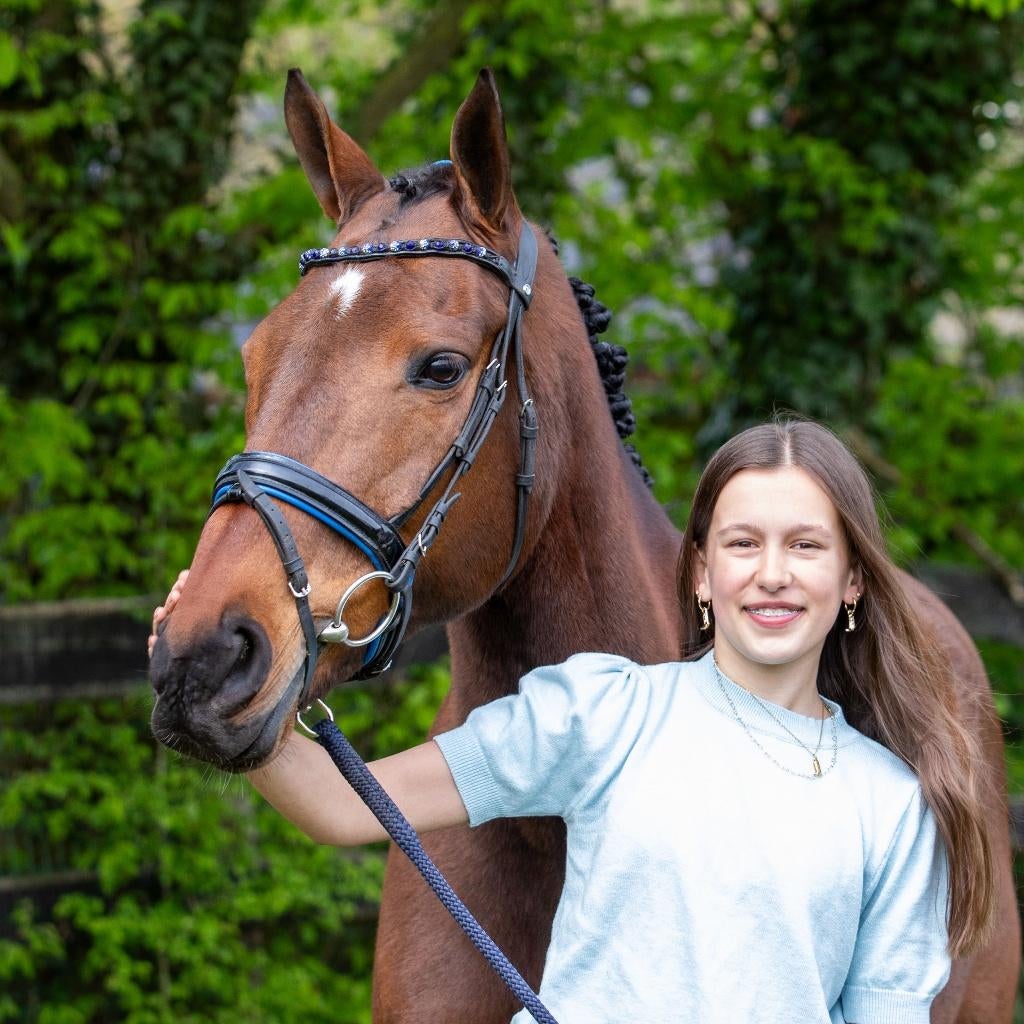 PAARDENPLEZIER IN EDE!  lease /rijles