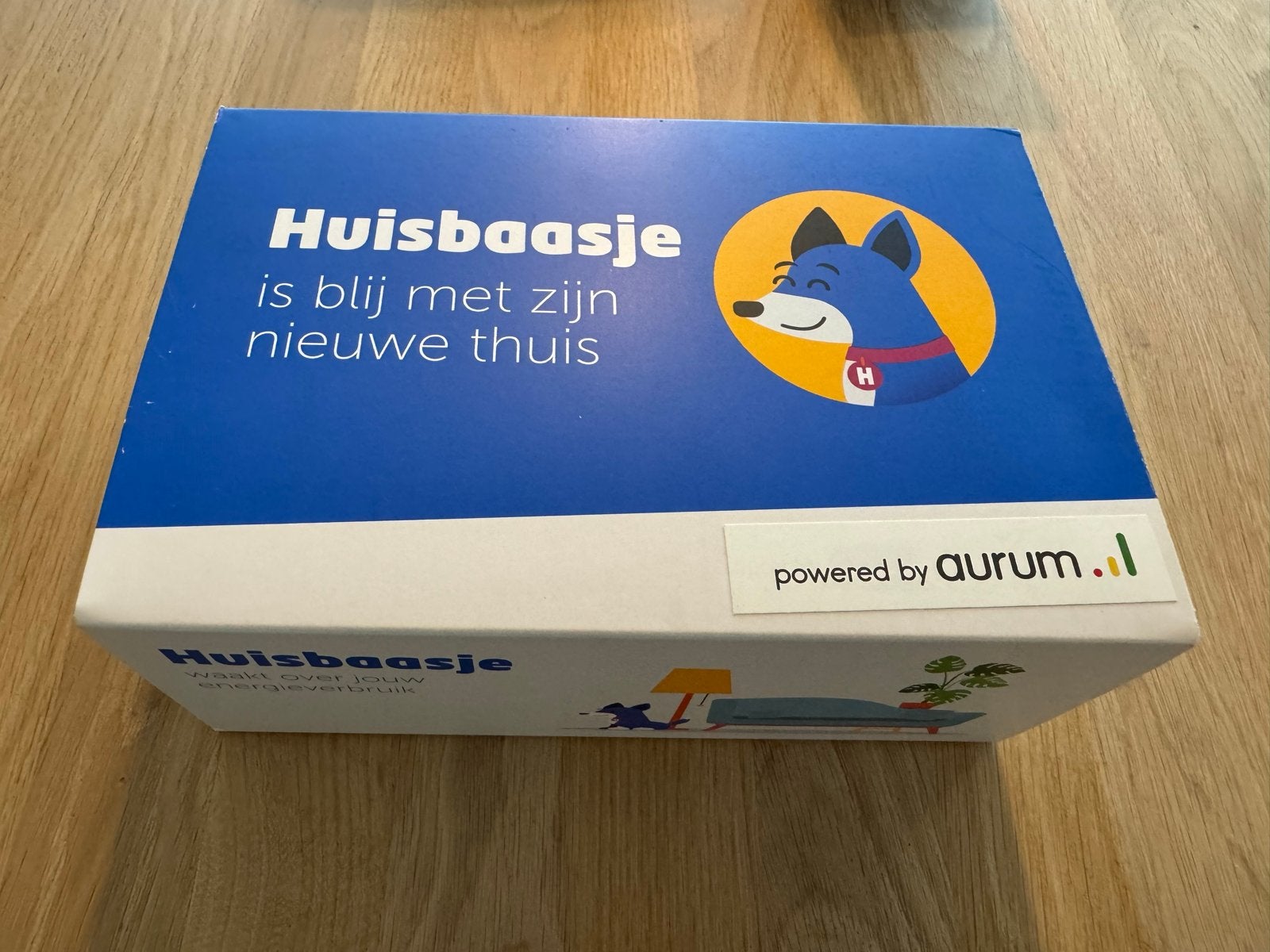 Huisbaasje energie uitlezer Starterspakket Aurum.l, Ophalen of Verzenden, Nieuw, Wit, Kunststof