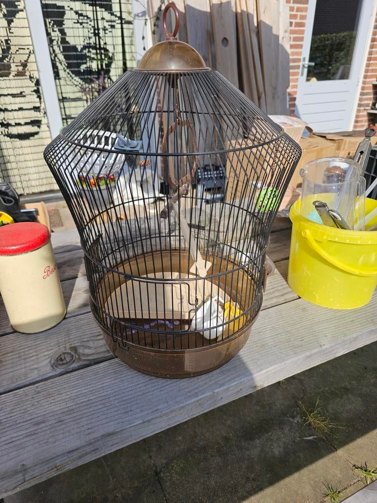 Vogelkooi, Dieren en Toebehoren, Ophalen, Metaal, Vogelkooi