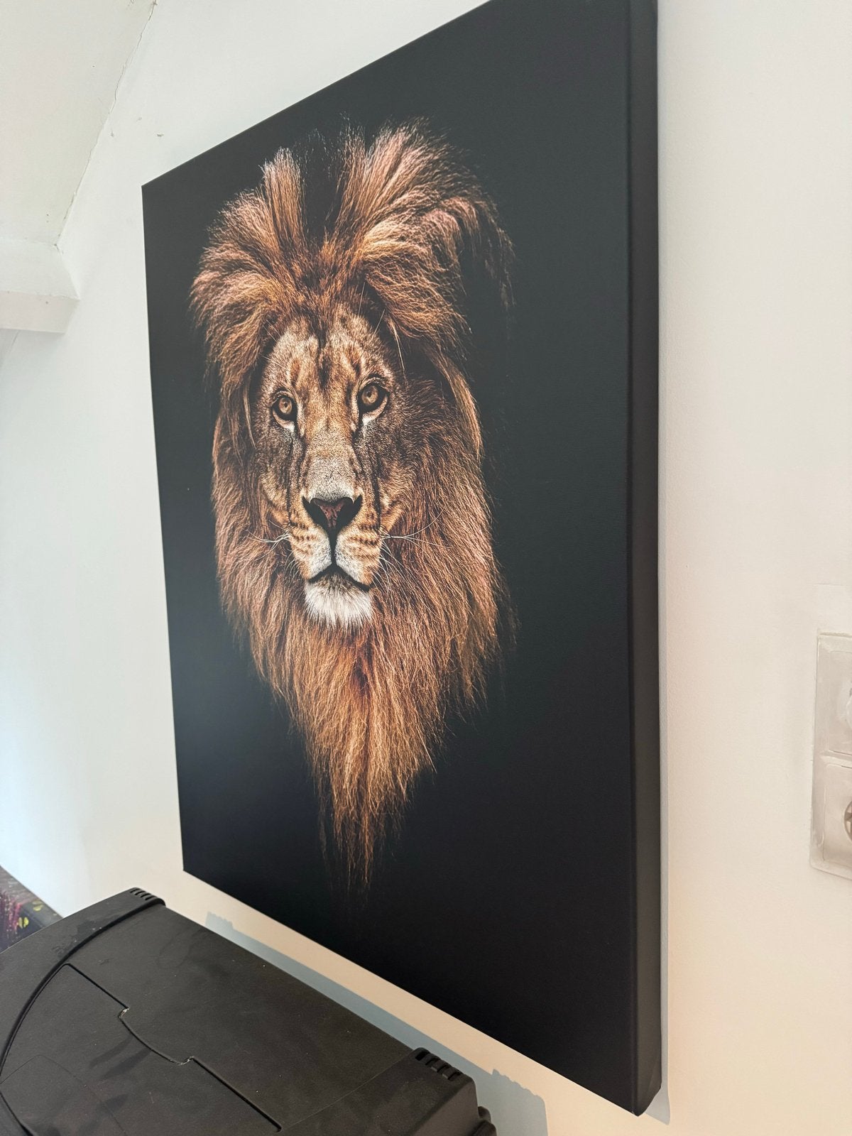 60x80 Prachtige Leeuwen Canvas Schilderij - Groot Formaat, Huis en Inrichting, Woonaccessoires | Schilderijen, Tekeningen en Foto's