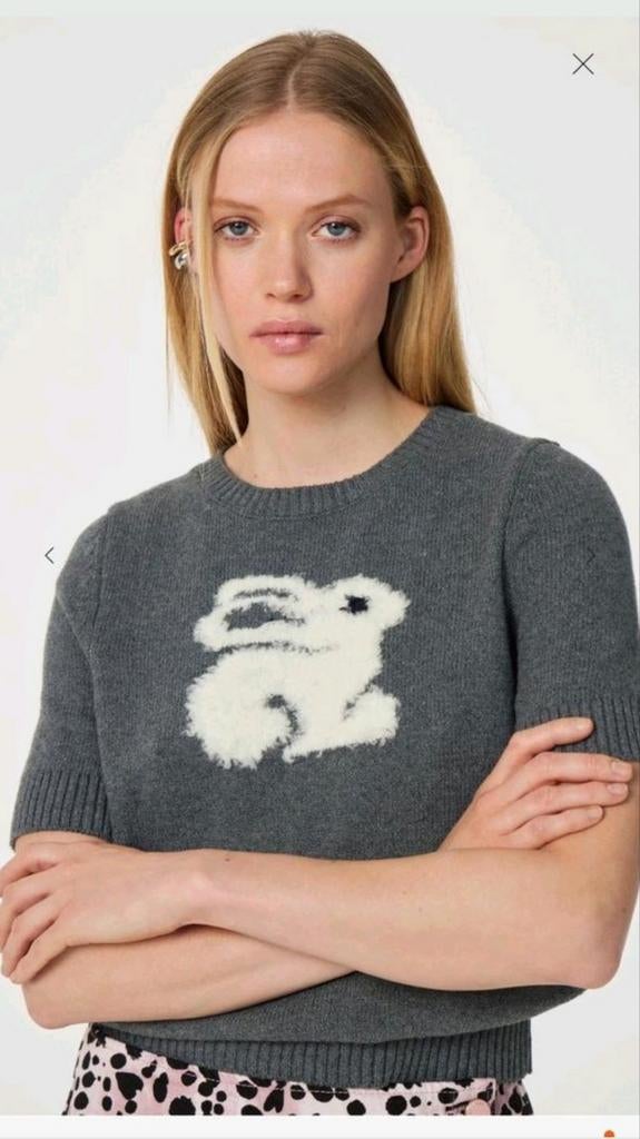 Fabienne Chapot Alice pullover/ trui maat M *nieuw *, Kleding | Dames, Fabienne Chapot, Ophalen of Verzenden, Nieuw, Maat 38/40 (M)