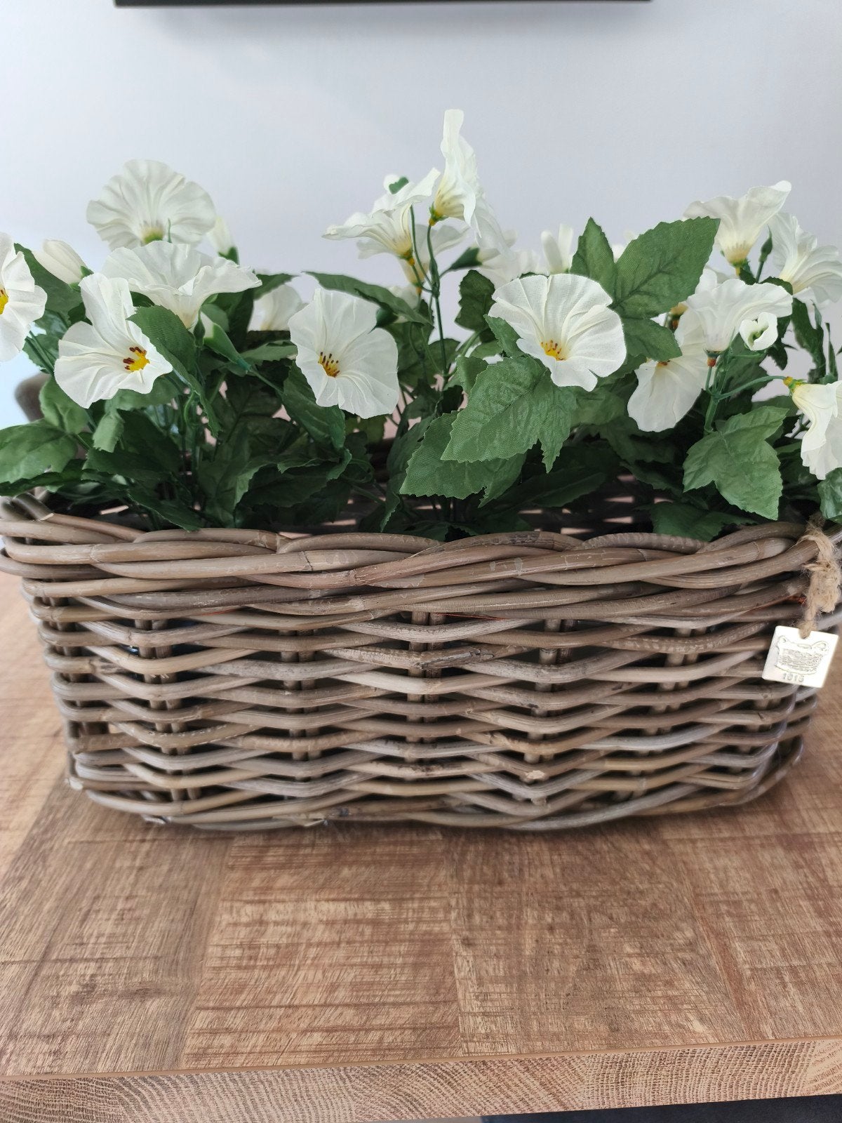 Te koop, mooie nieuwe rieten mand met 3 nieuwe kunstplanten., Ophalen, Onderhoudsvrij, Kunstplant, Intratuin