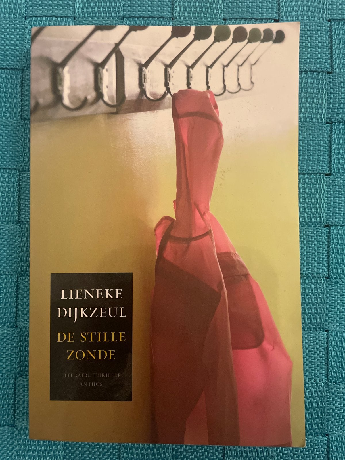 Lieneke Dijkzeul - De Stille Zonde (Literaire thriller), Ophalen of Verzenden, Zo goed als nieuw, Nederland