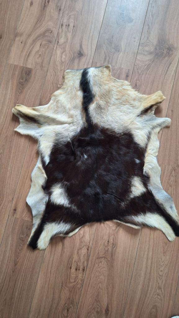 Geitenvel - Zwart/Wit/Bruin - Decoratief Vacht, Gebruikt, 50 tot 100 cm, Overige vormen, Natuurlijk, Rustiek, Landelijk