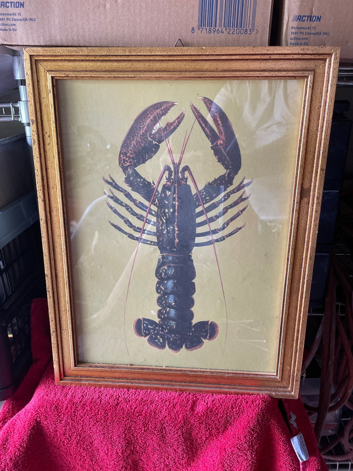 Vintage Kreeft Poster in Gouden Lijst - Decoratief Kunstwerk, Ophalen, 50 – 75, Gebruikt, Foto of Poster