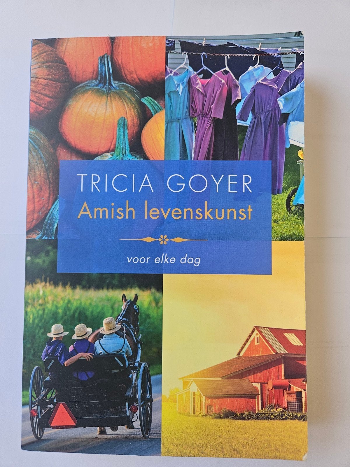 Amish levenskunst Bijbels dagboek Tricia Goyer, Ophalen of Verzenden, Christendom | Katholiek