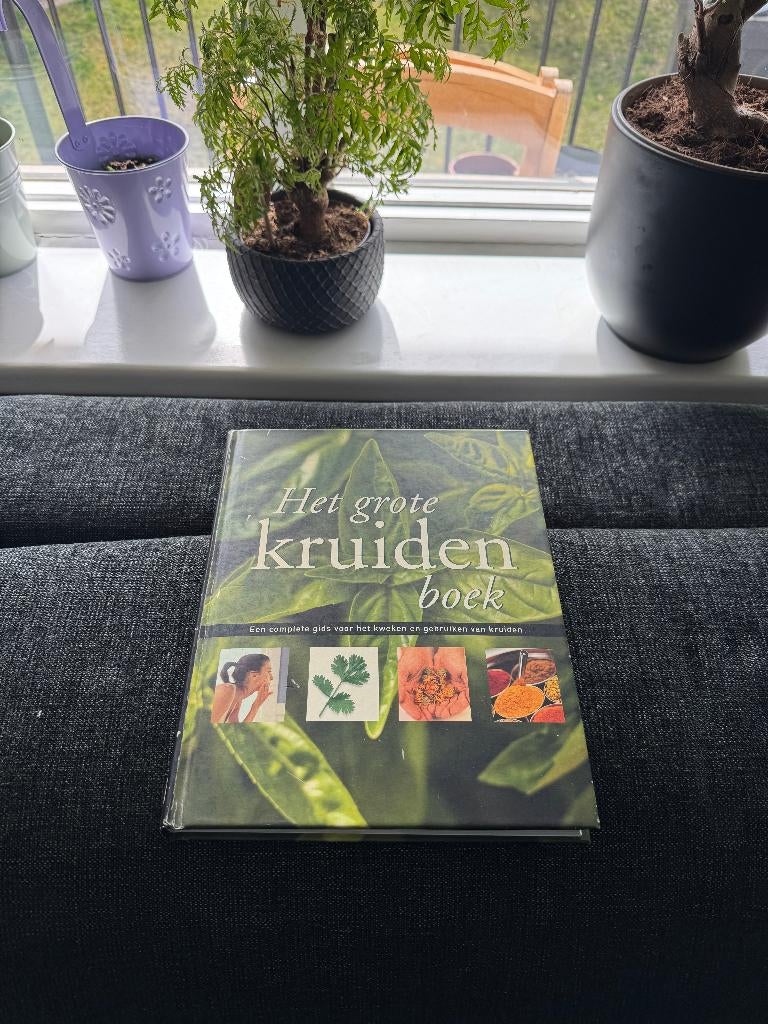 GROTE KRUIDENBOEK, Ophalen of Verzenden, Gelezen, Kruiden en Alternatief, Jennie Harding