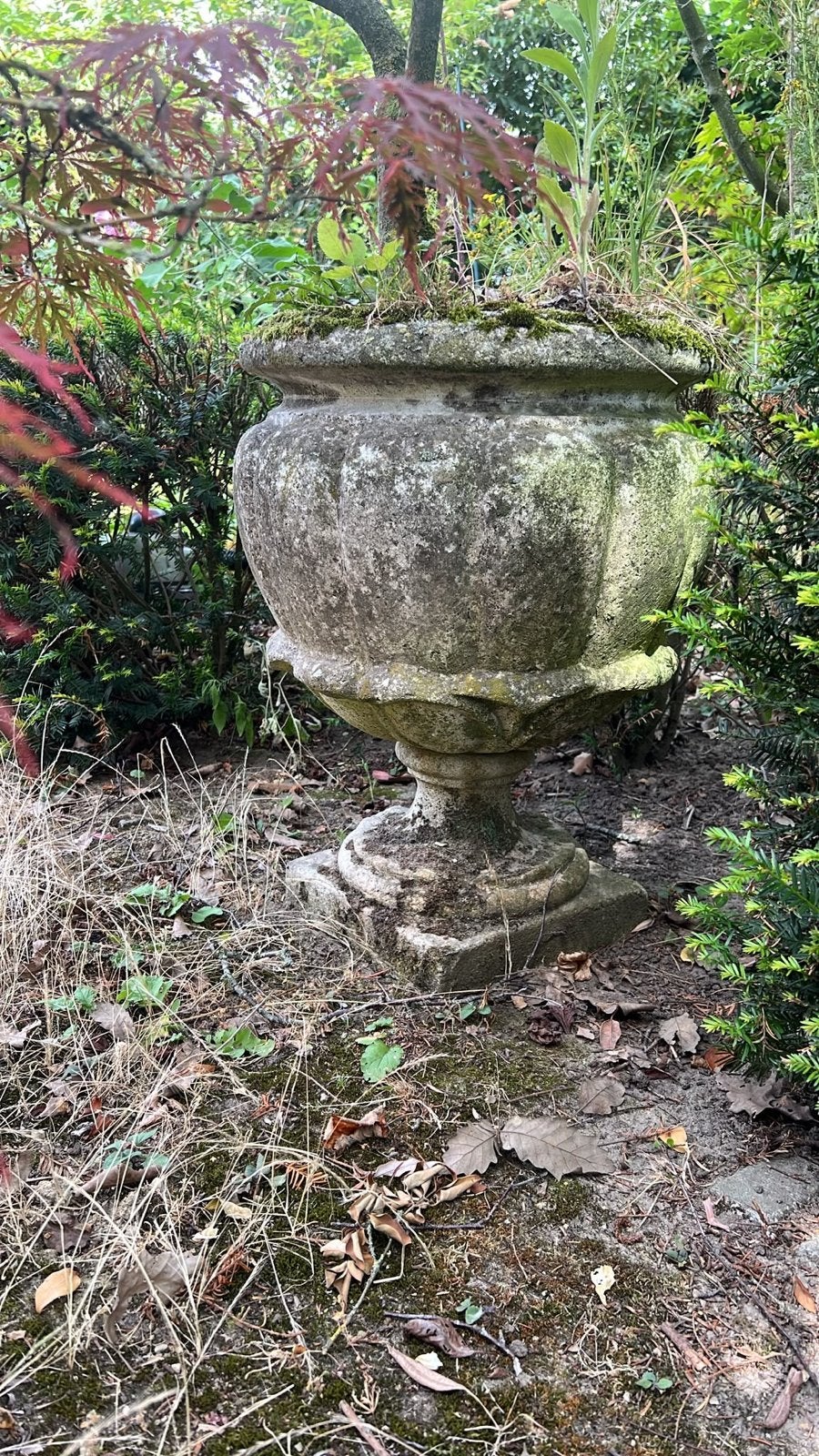 Antieke stenen bloempot - Klassieke tuinvaas, Ophalen, Gebruikt, Rond, 60 tot 100 cm