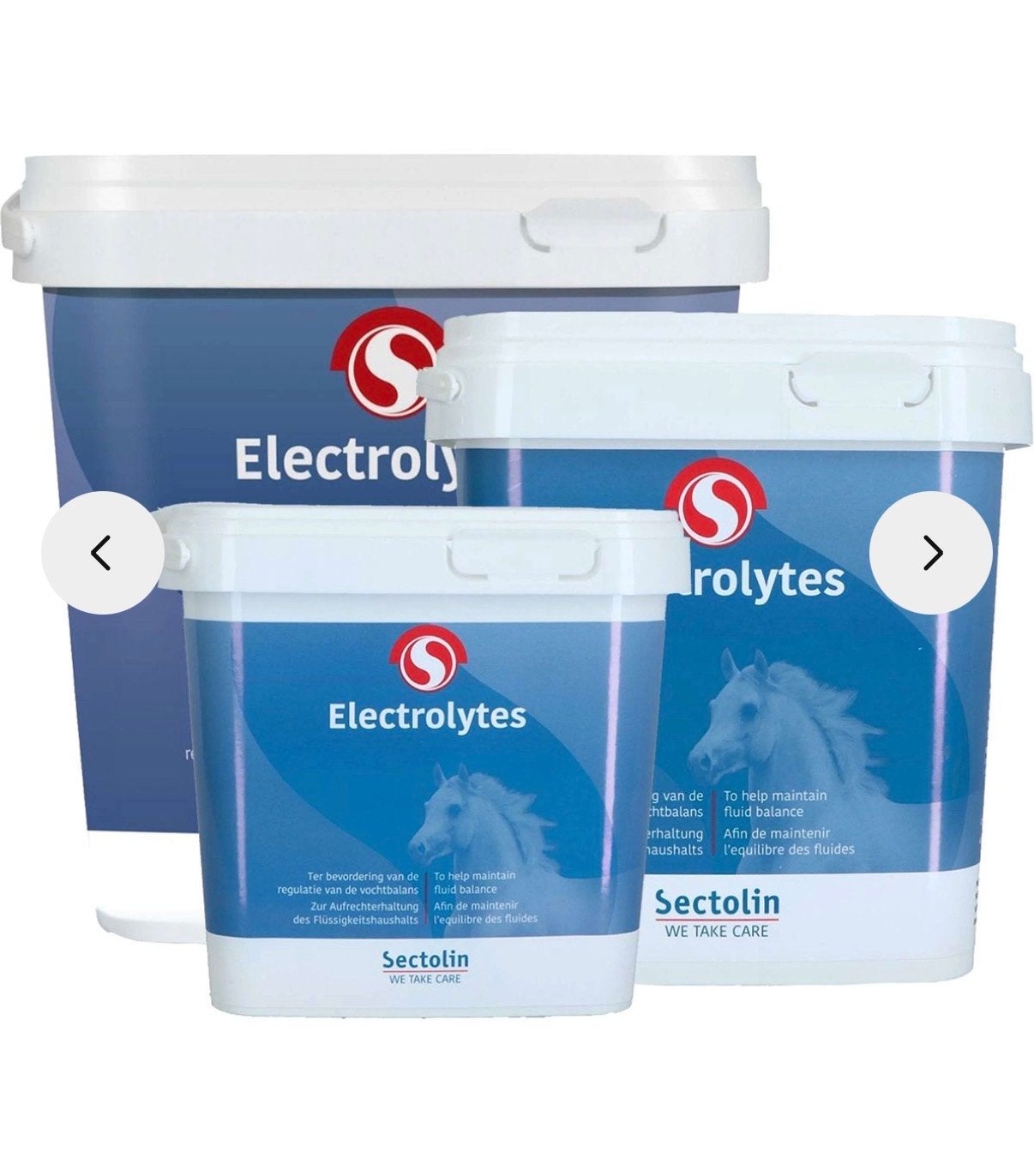 Sectolin electrolyten 500 gram, Dieren en Toebehoren, Ophalen, Gebruikt, Overige disciplines
