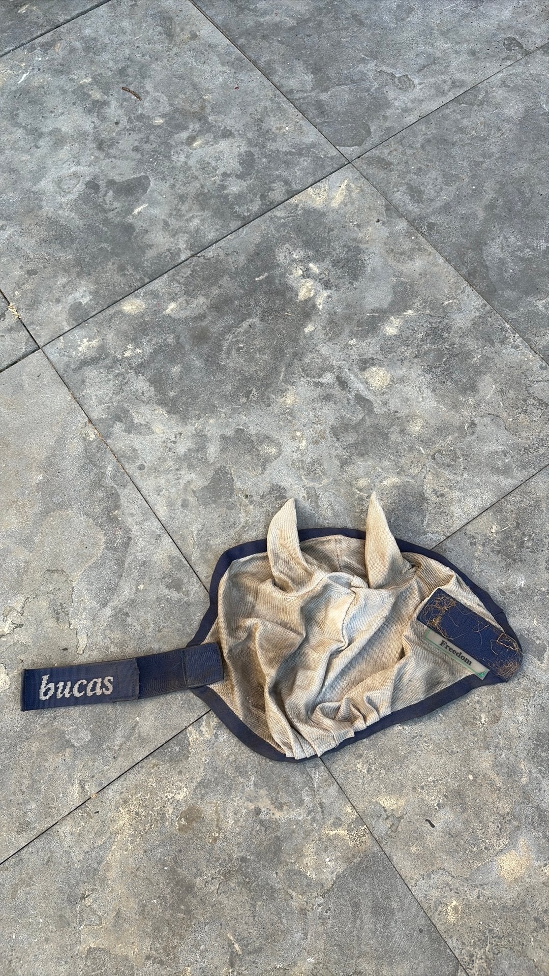 Bucas vliegenmasker xxs, Dieren en Toebehoren, Vliegenmasker, Ophalen, Gebruikt