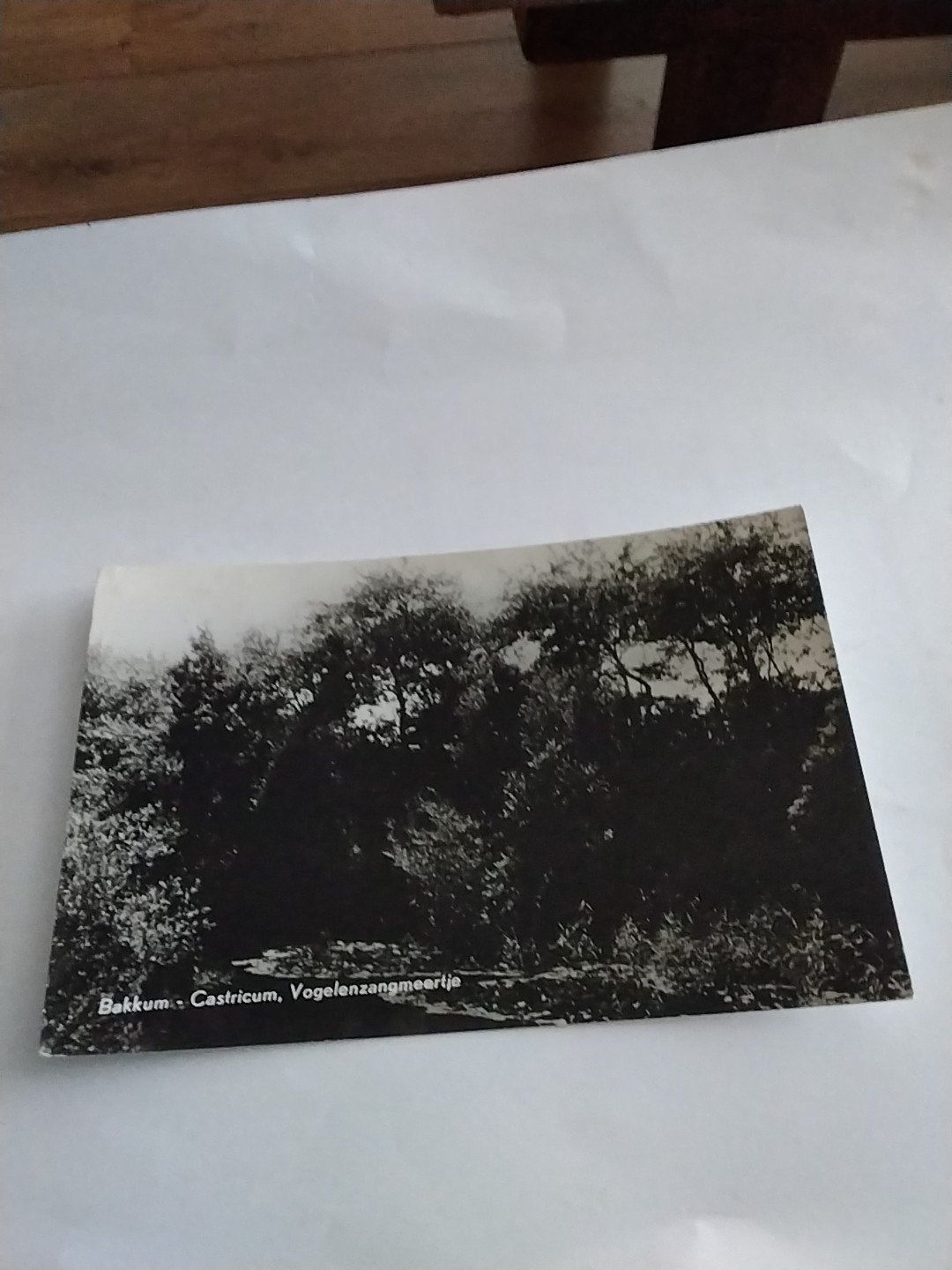Oude ansichtkaart Bakkum Castricum, Vogelenzangmeertje, Ophalen of Verzenden, 1940 tot 1960, Ongelopen, Noord-Holland
