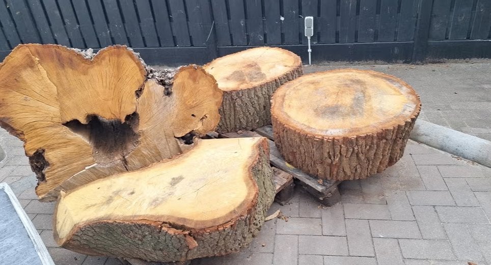 Boomschijven van eiken, Doe-het-zelf en Verbouw, Hout en Planken, Ophalen, 25 tot 50 mm, Eiken, Overige typen