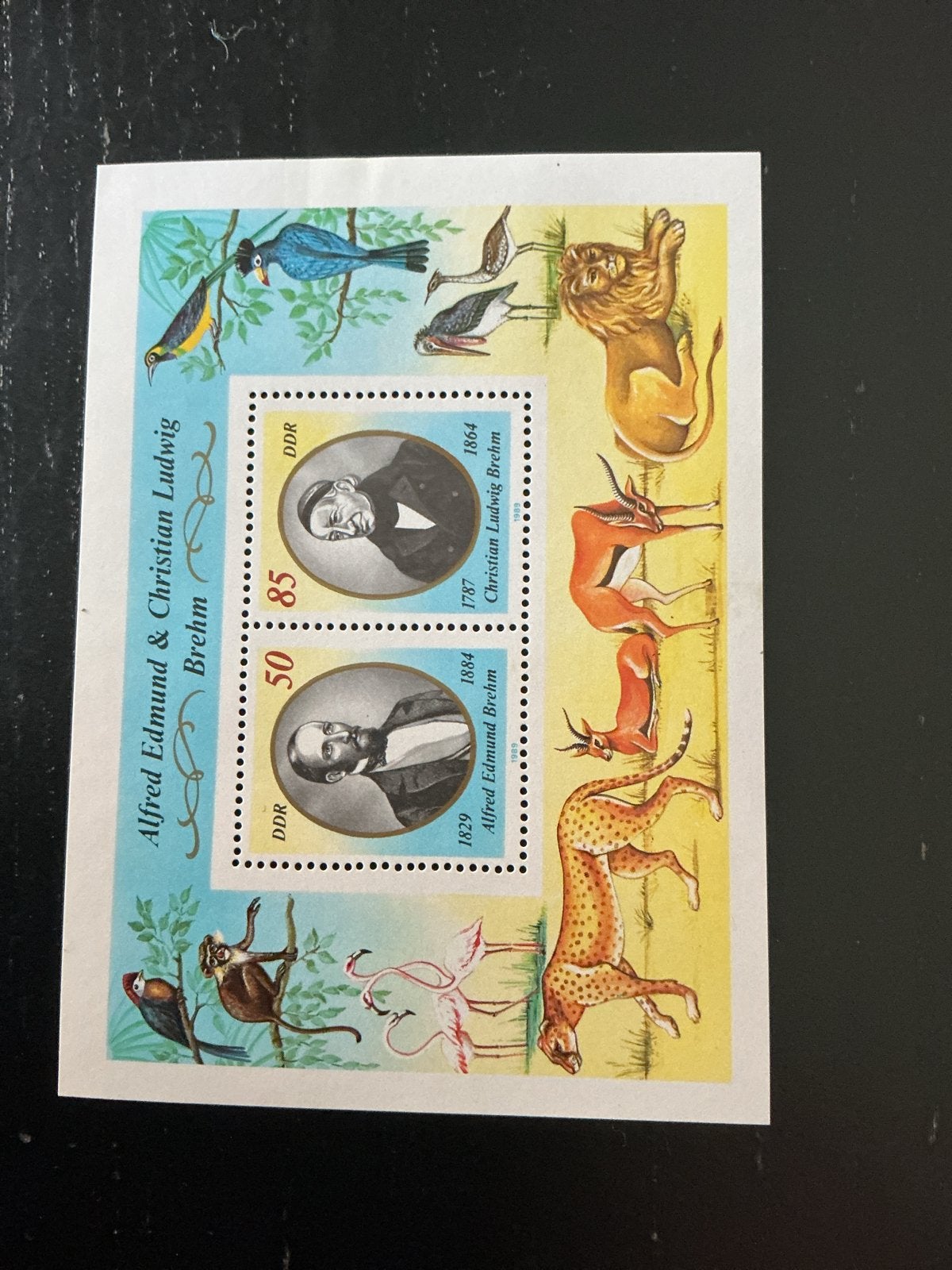 DDR Postzegelvel Brehm: Dieren en Natuur, Ophalen of Verzenden, Postfris, Dier of Natuur