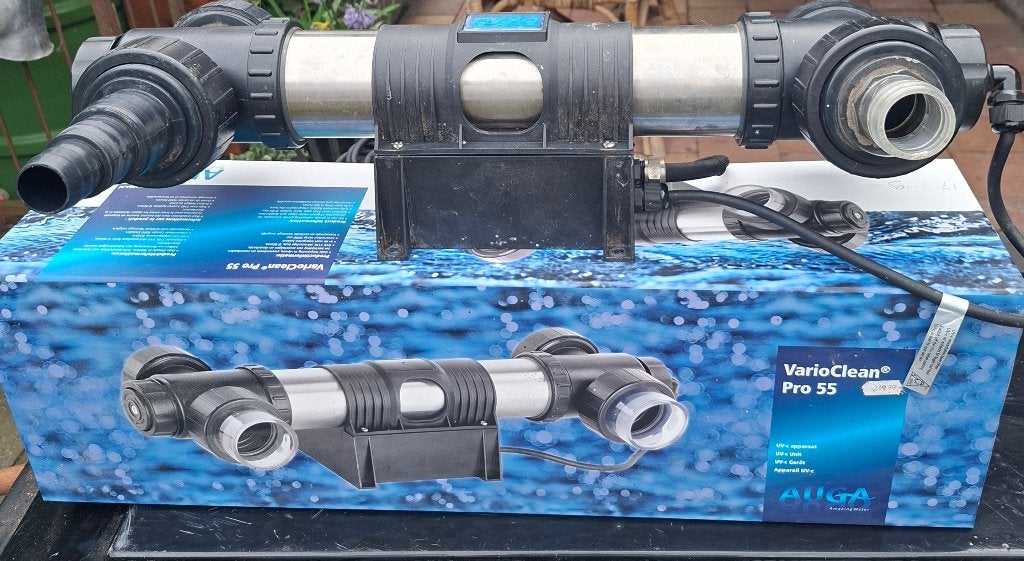 UV lamp, Karper of Koi