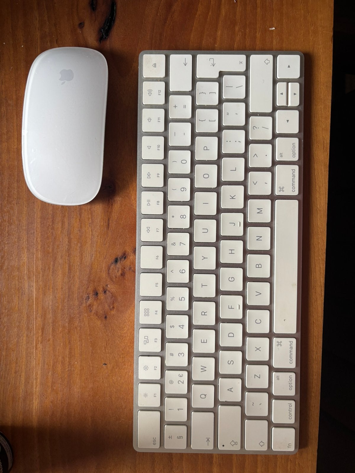 Apple magic mouse and keyboard (lightning)